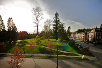 Tatton Parkside Rowhomes | Park View