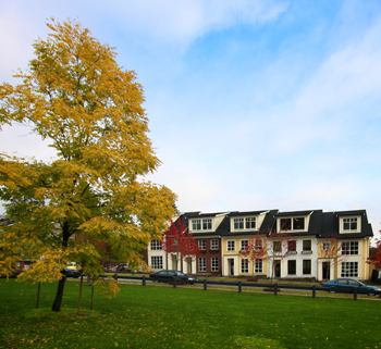 Tatton Parkside Rowhomes