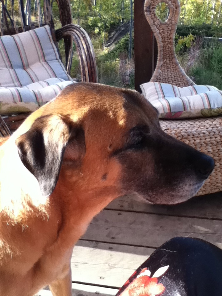 Caleb side view
