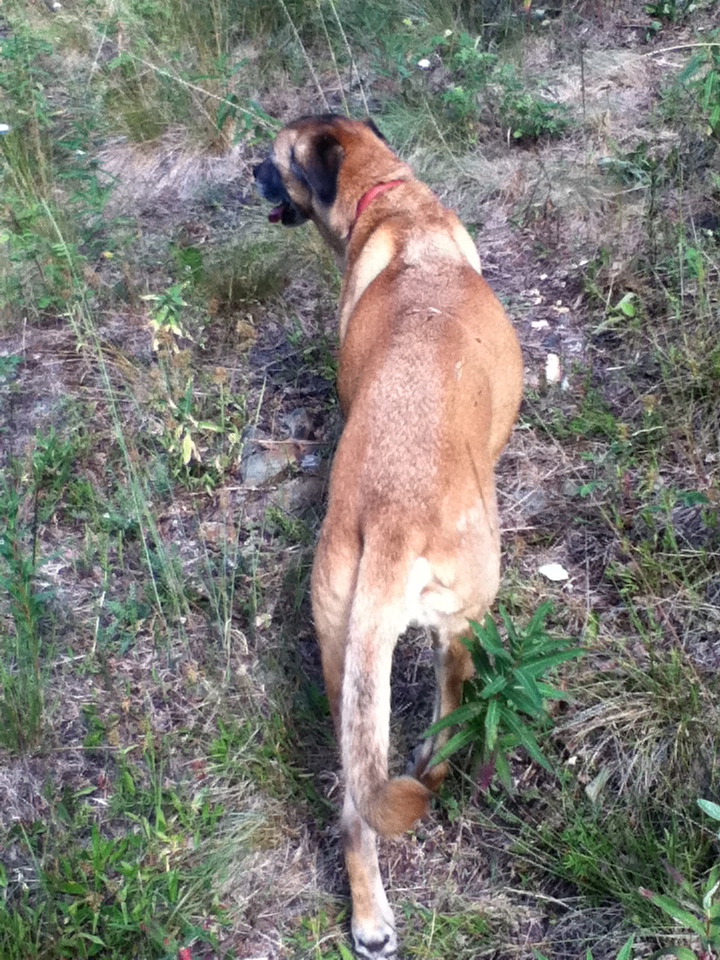 Caleb on trail from above