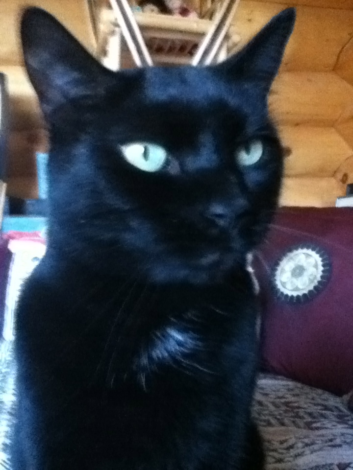Boris face on