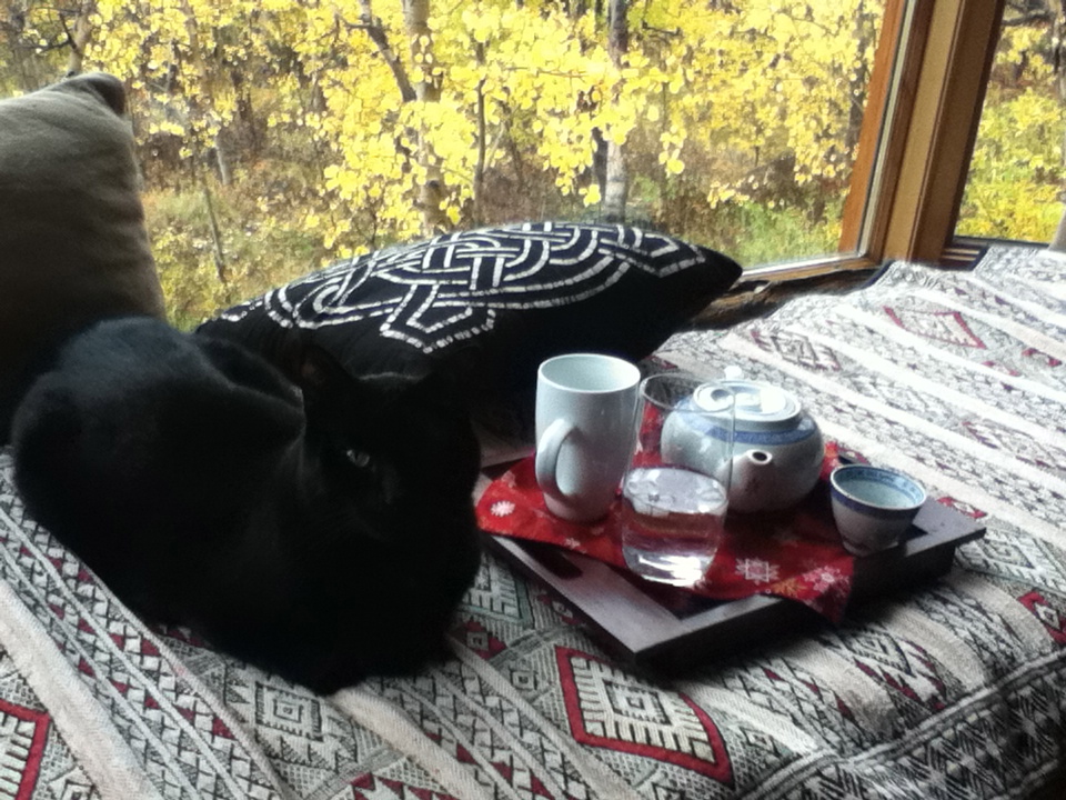 Boris and tea tray