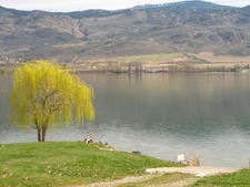 Lake Osoyoos Vacant Land for sale:    (Listed 2008-05-05)