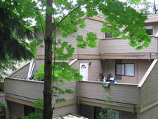 Simon Fraser Hills Townhouse for sale: Mountain Wood 2 bedroom 830 sqft (Listed 2008-08-20)