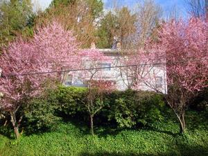 Eagle Harbour House for sale:  3 bedroom 3,079 sq.ft. (Listed 2012-01-10)