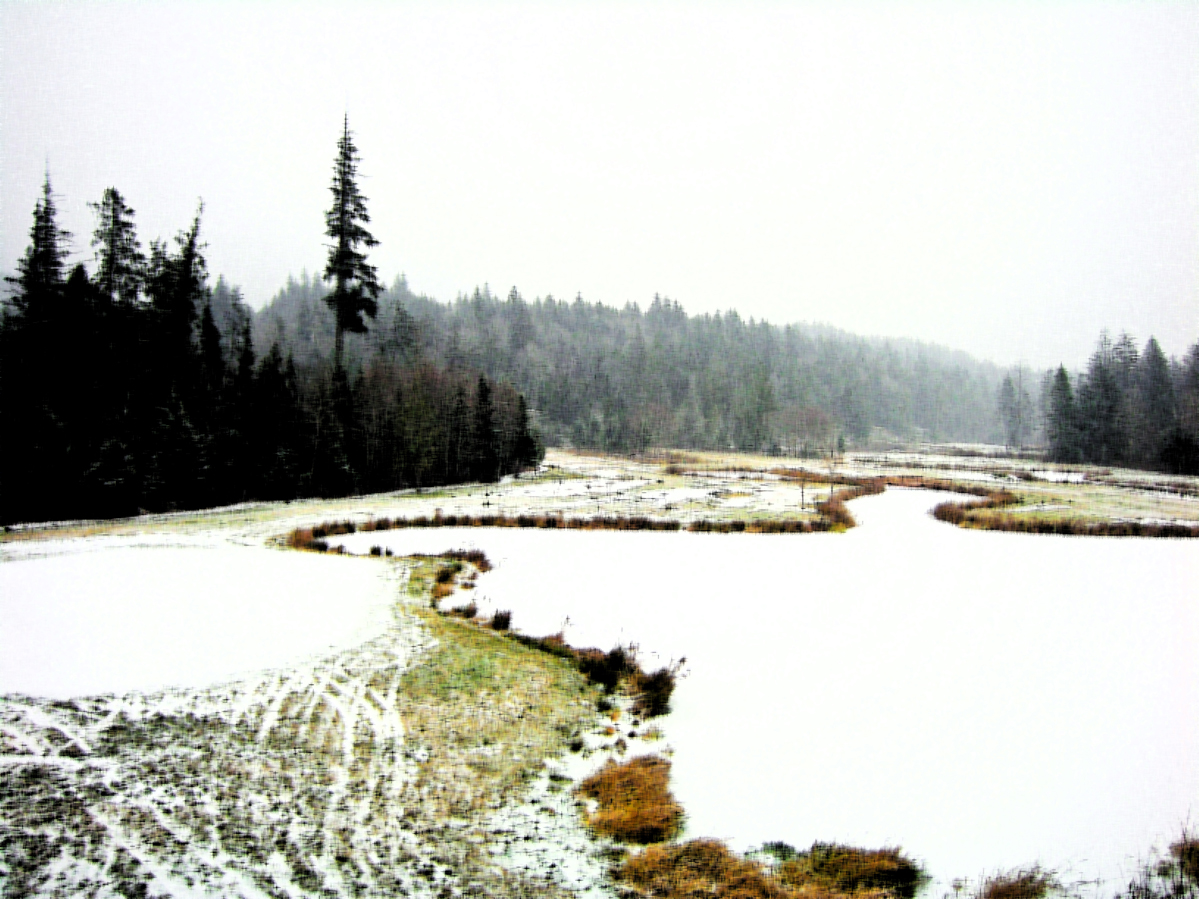 squamish