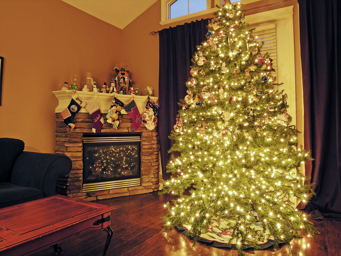 Christmas Tree full
