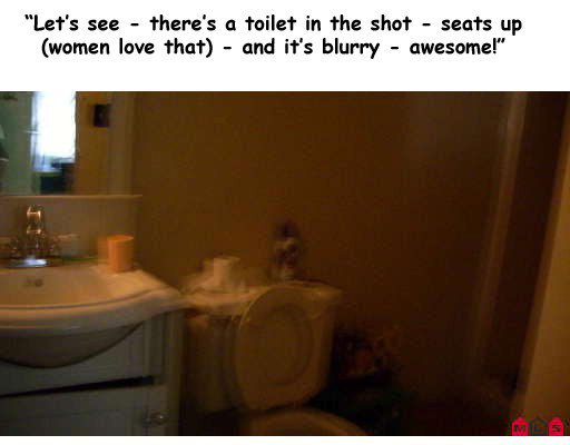 toilet seat up