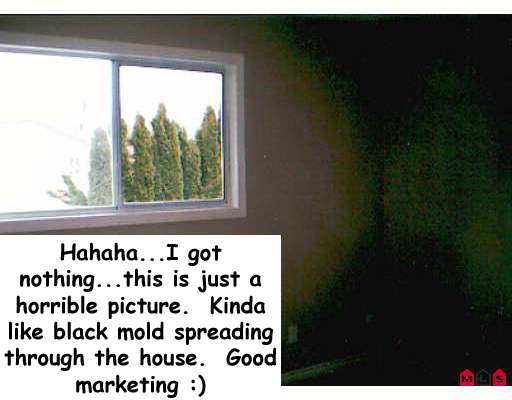 black mold