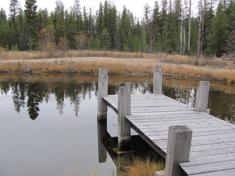 pond