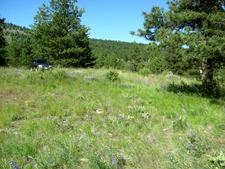 Osoyoos BC / Regal Ridge / Land / Acreage / For Sale / MLS &copy; Real Estate Listing Jennifer Brock Macdonald Realty Okanagan South / Kootenay Boundary