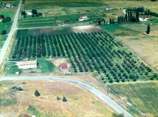 Grand Forks BC / Land / Acreage / Hobby Farm / Fruit Orchard / House / Home / Farm / For Sale / MLS &copy; Real Estate Listing Jennifer Brock Macdonald Realty Okanagan South / Kootenay Boundary