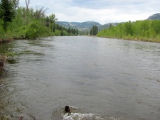 BC / Waterrfont / Riverfront / Creekfront / Lakefront / River / Lake / Creek / For Sale / MLS © Real Estate Listing Jennifer Brock Macdonald Realty Okanagan South / Kootenay Boundary
