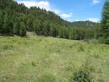 Westbridge Vacant Land for sale:  Studio  (Listed 2008-01-07)