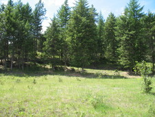Westbridge Vacant Land for sale:    (Listed 2008-02-11)
