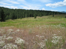 Rock Creek BC Land For Sale MLS Real Estate Listing Jennifer Brock Macdonald Realty Okanagan South / Kootenay Boundary