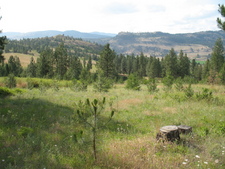 Rock Creek BC Land For Sale MLS Real Estate Listing Jennifer Brock Macdonald Realty Okanagan South / Kootenay Boundary
