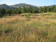 Rock Creek BC Land For Sale MLS Real Estate Listing Jennifer Brock Macdonald Realty Okanagan South / Kootenay Boundary