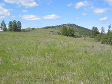Rock Creek BC Land For Sale MLS Real Estate Listing Jennifer Brock Macdonald Realty Okanagan South / Kootenay Boundary