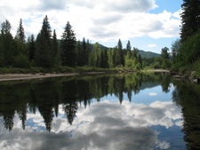 River Frontage Land Kettle River For Sale MLS Real Estate Listing Jennifer Brock Macdonald Realty Okanagan South / Kootenay Boundary