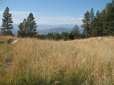 Regal Ridge Osoyoos BC land with view for sale by Jennifer Brock of Macdonald Realty Okanagan South / Kootenay Boundary