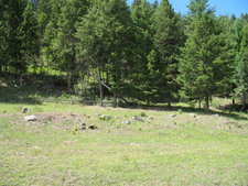 Kettle River Ridge in Westbridge BC land for sale by Jennifer Brock, Macdonald Realty Okanagan South / Kootenay Boundary