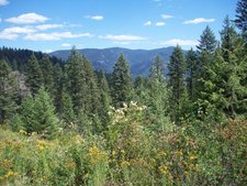 Christina Lake / Grand Forks BC Land for sale by Jennifer Brock of Macdonald Realty Okanagan South/ Kootenay Boundary