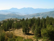 Osoyoos BC Regal Ridge Land For Sale MLS Real Estate Listing Jennifer Brock Macdonald Realty Okanagan South / Kootenay Boundary