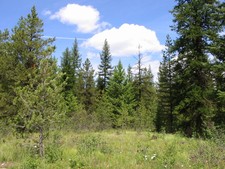 Mount Baldy Ski Area Bridesville Rock Creek BC Vacant Land for sale by Jennifer Brock of Macdonald Realty Okanagan South / Kootenay Boundary