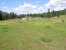 Rock Creek BC / Land / Acreage / Hobby Farm / House / Home / Ranch / Farm / For Sale / MLS © Real Estate Listing Jennifer Brock Macdonald Realty Okanagan South / Kootenay Boundary