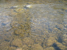 Westbridge BC Christian Valley BC Carmi BC River Front Land House Farm For Sale MLS Listing by Jennifer Brock Macdonald Realty Okanagan South / Kootenay Boundary