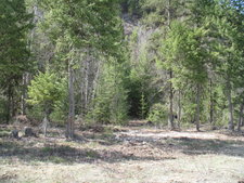 recreational vacant land acreage for sale Westbridge Christian Valley BC by Jennifer Brock of Macdonald Realty Okanagan South / Kootaney Boundary