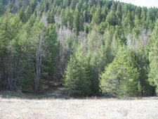 recreational vacant land acreage for sale Westbridge / Christian Valley BC by Jennifer Brock of Macdonald Realty Okanagan South / Kootaney Boundary