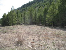 recreational vacant land for sale Westbridge / Christian Valley BC / by Jennifer Brock of Macdonald Realty Okanagan South / Kootaney Boundary
