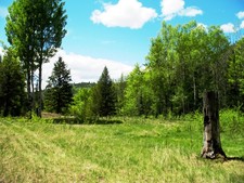 Greenwood Land OUT of the ALR: