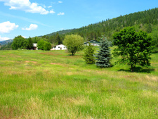 Greenwood Midway BC hobbyfarm workshop land acreage for sale MLS listing by Jennifer Brock Macdonald Realty Okanagan South Kootenay Boundary