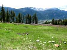 Grand Forks Christina Lake BC Land Acreage Riverview MLS real estate realty listing for sale by Jennifer Brock Macdonald Realty Okanagan South / Kootenay Boundary