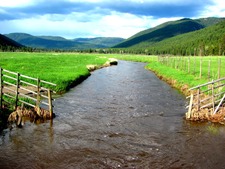 Beaverdell BC Kelowna Westbridge Ranch Land Farm House Creek For Sale MLS Real Estate Listing Jennifer Brock Macdonald Realty Okanagan South / Kootenay Boundary