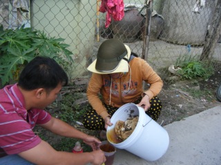 Vietnam honey