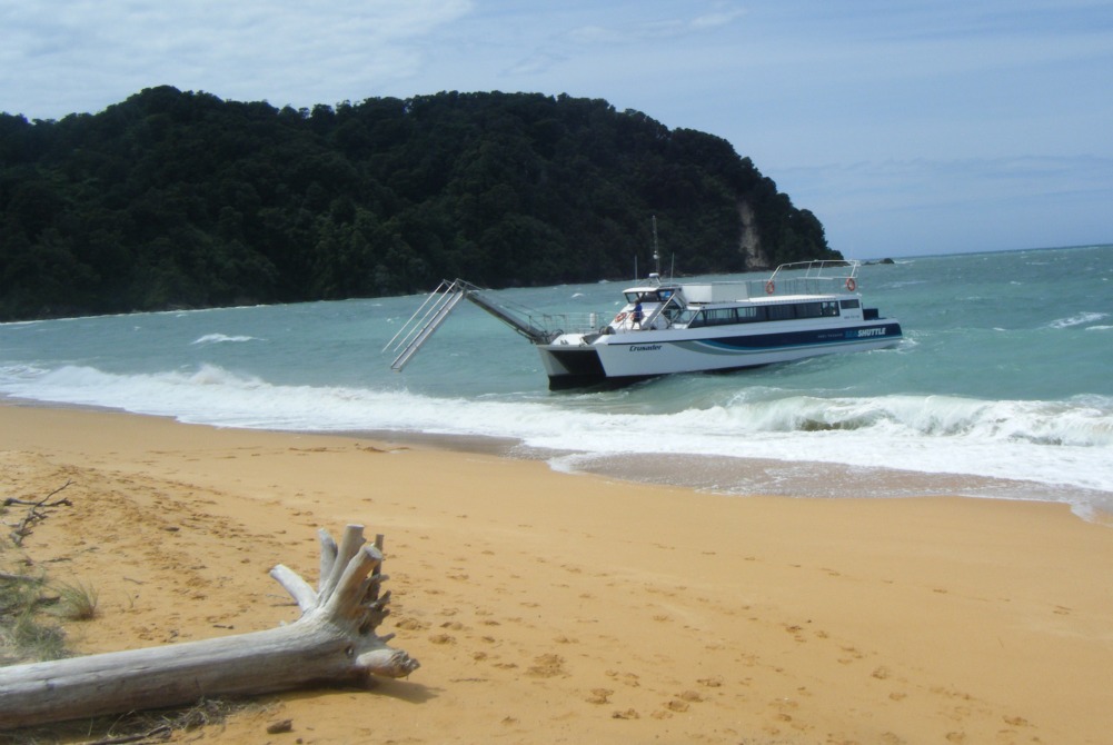 NZ Tas Beach