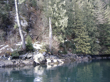 Indian Arm LAND for sale:    (Listed 2009-02-18)