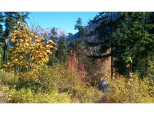 Pemberton/Birken Vacant land for sale: (Listed 2014-04-08)