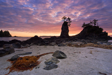 Brady's Beach Oceanfront Cabin For Sale