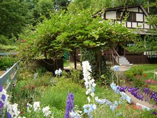 Savary Island Island Retreat for sale:  2 bedroom  (Listed 2010-01-12)