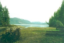 Rivers Inlet Oceanfront Acreage for sale: (Listed 2010-11-18)