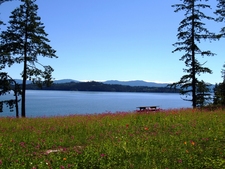 Paradise Cove Oceanfront Acreage for sale:    (Listed 2008-08-08)