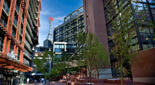 Our Listings Simon Fraser University Listings