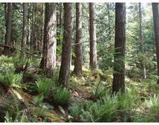 Gambier Island Land for sale:    (Listed 2008-05-29)