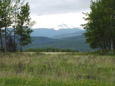 Telkwa BC Bare Farmland for sale