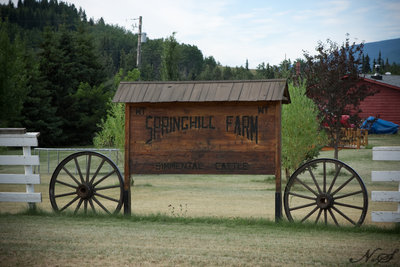 Smithers BC - 220 Acre Farm for sale.